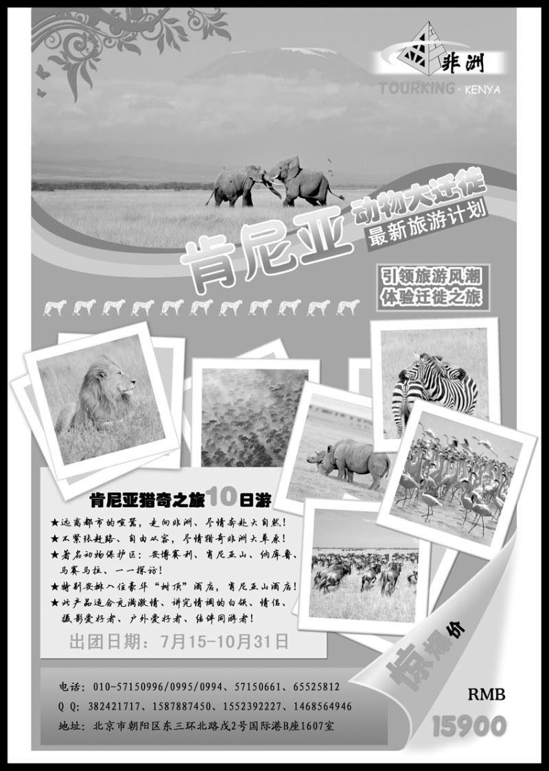 b-p9金非洲肯尼亚地接社黑白  （内蒙版+东北版+山西版+陕西版）