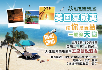辽宁康辉封签（加上相见多少页）