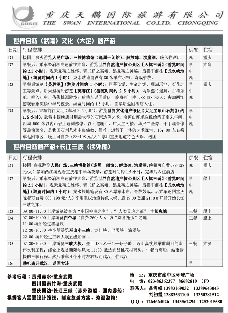 重庆天鹅国际