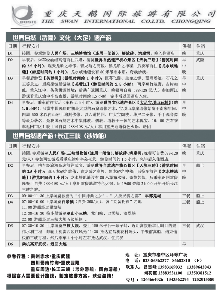 重庆天鹅国际