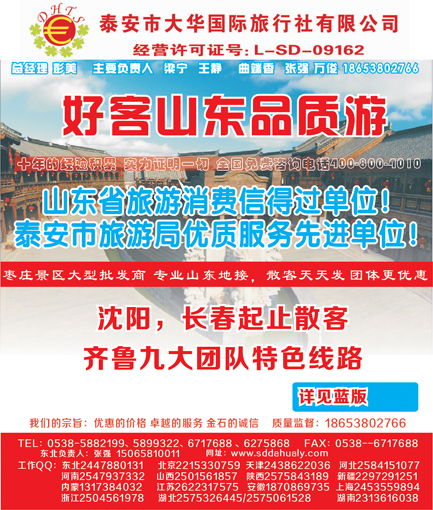 山东大华侧条