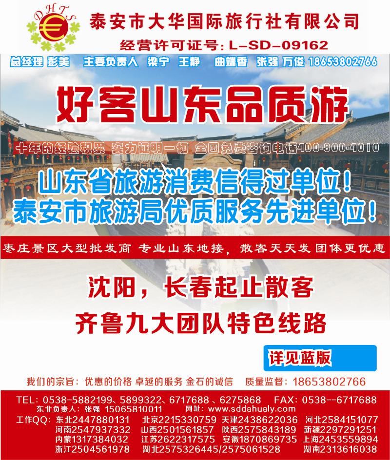 山东大华侧条