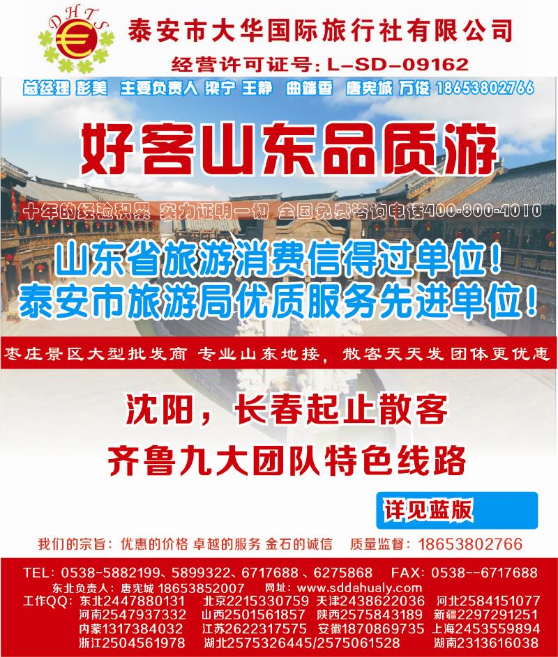 山东大华侧条