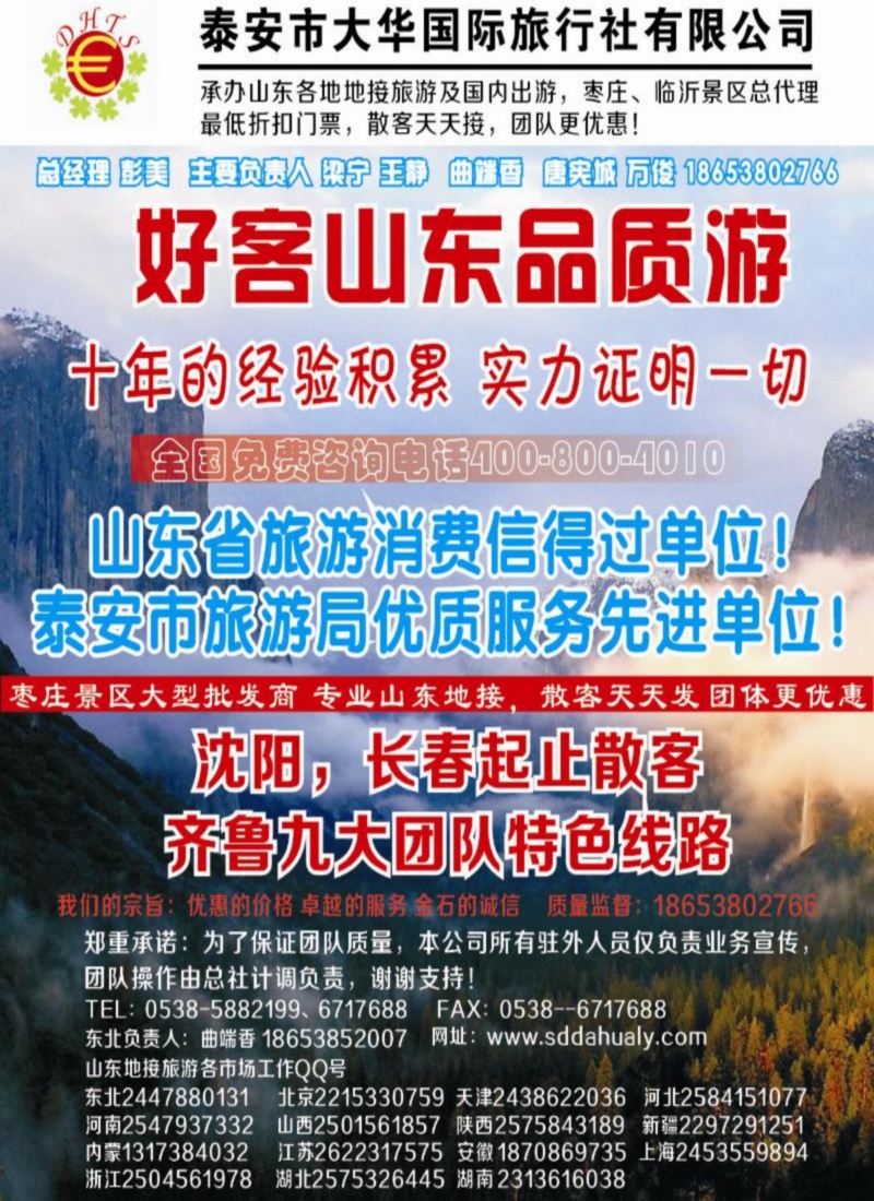 山东大华侧条