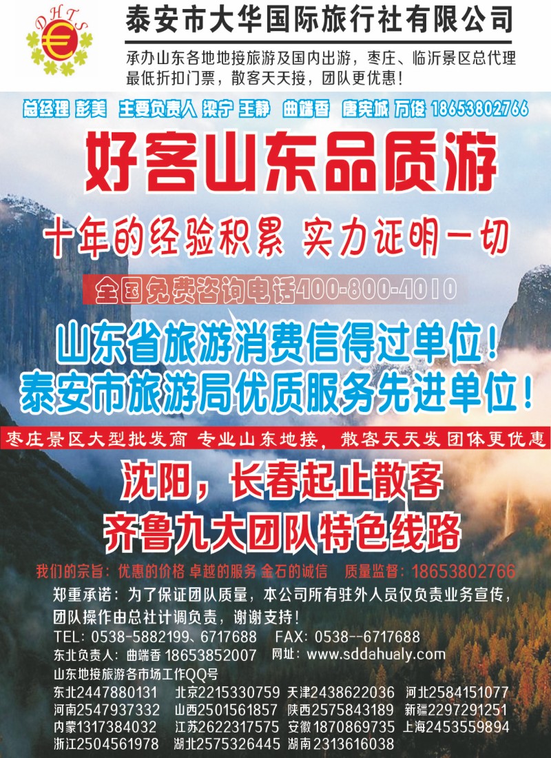 山东大华侧条