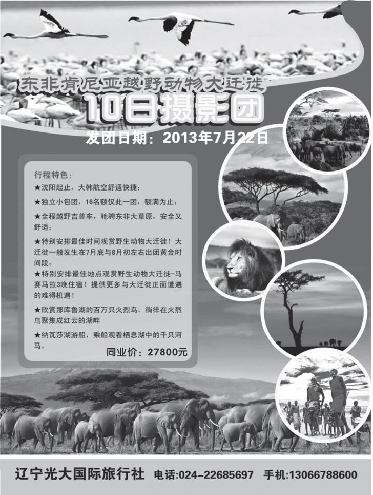 a黑12 辽宁光大1