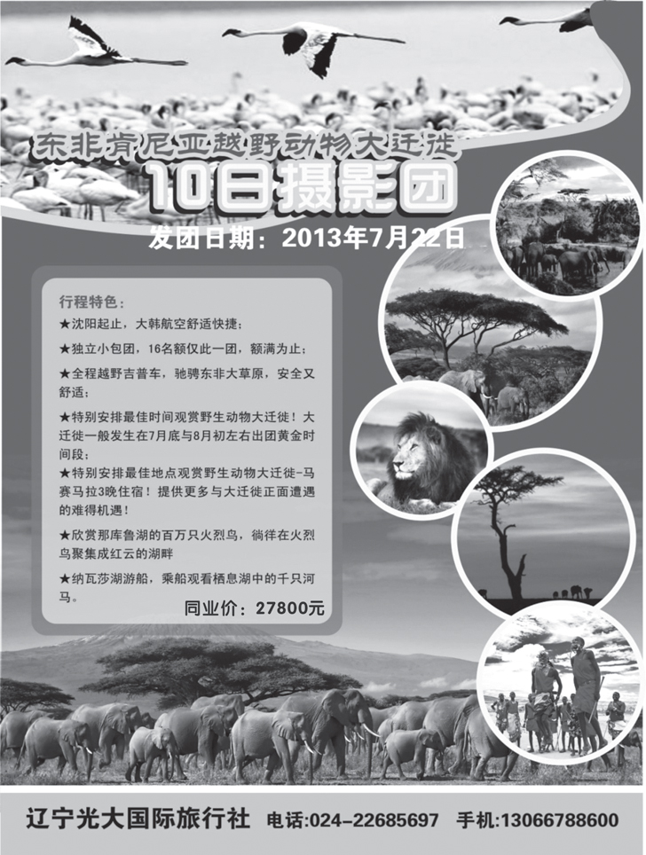 a黑12辽宁光大1
