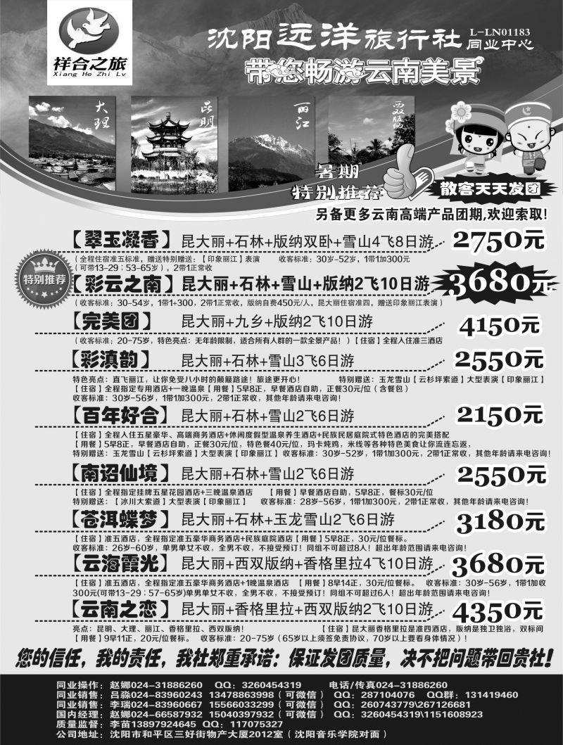 A-扉01沈阳远洋旅行社黑
