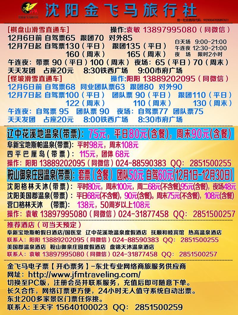 A-彩01金飞马
