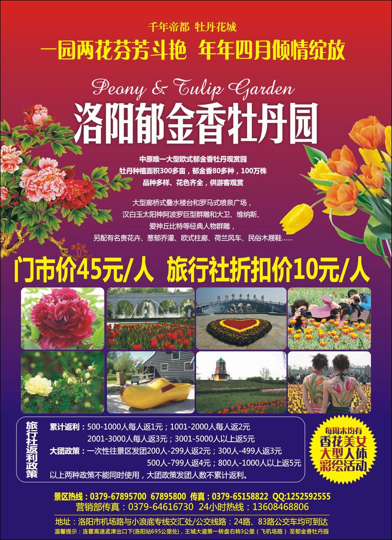洛阳郁金香牡丹园（徐州、河北、江苏安徽）