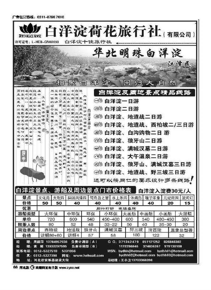 白洋淀荷花旅行社88