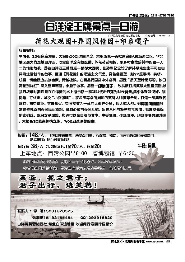 白洋淀55