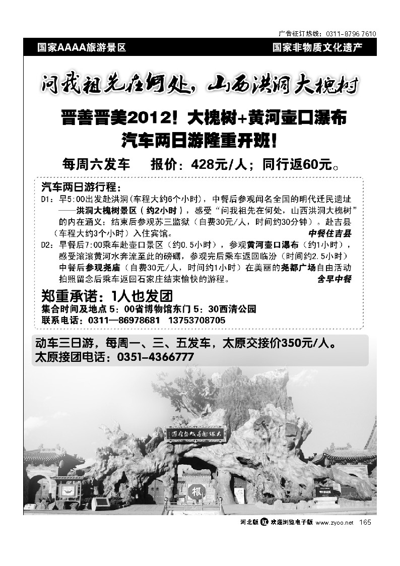 山西洪洞大槐树景区 165