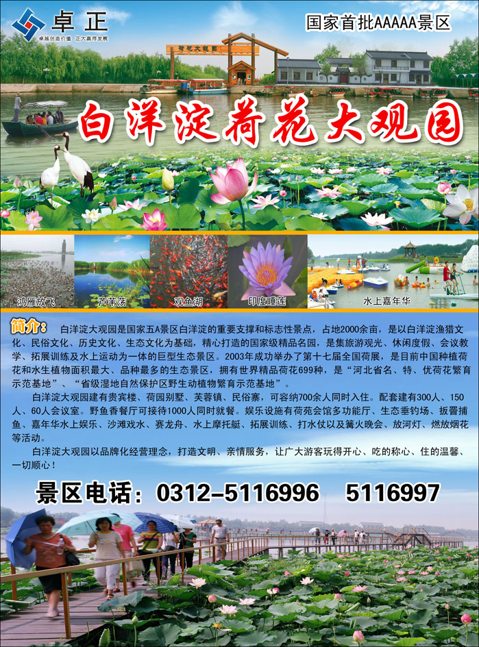 白洋淀王牌景区荷花大观园1（山西、天津、河北、河南、内蒙）