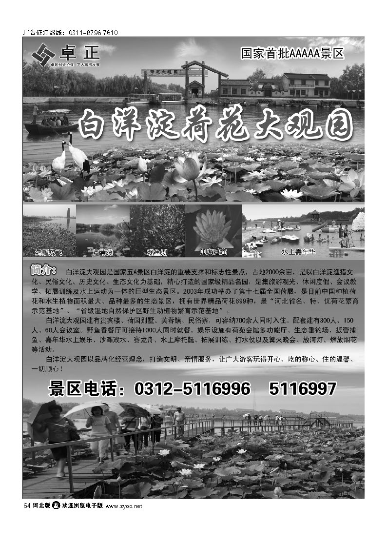 白洋淀王牌景区荷花大观园 64
