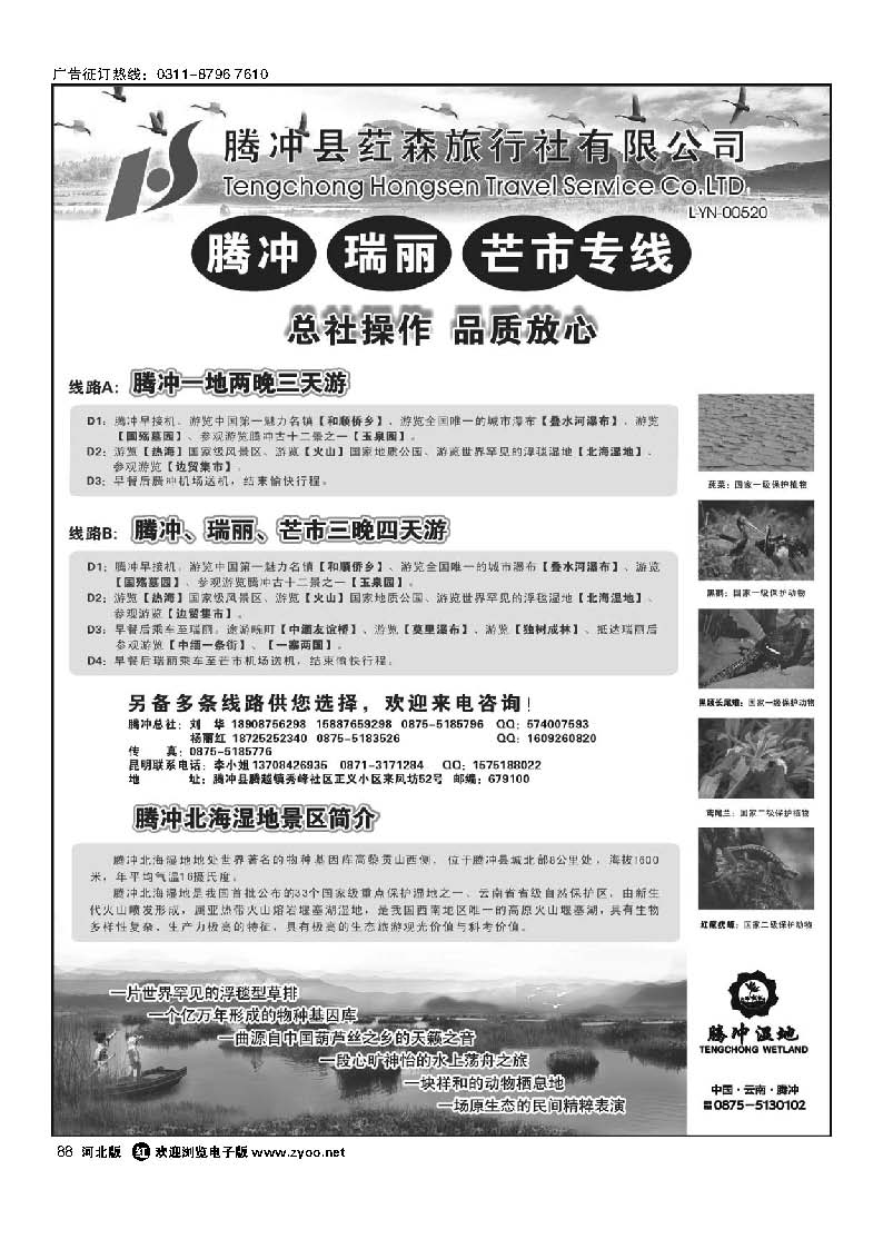 88 云南腾冲荭森旅行社-腾冲、瑞丽、芒市专线