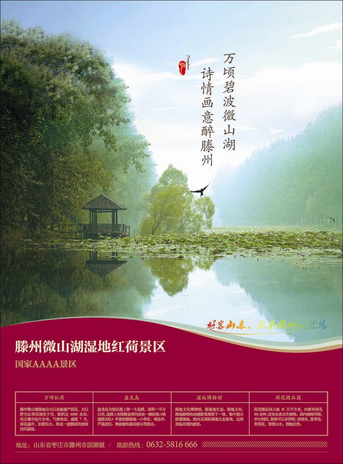 山东省滕州市微山湖湿地红荷风景区彩