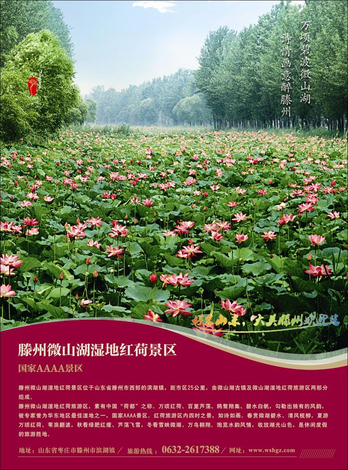 山东省滕州市微山湖湿地红荷风景区彩页
