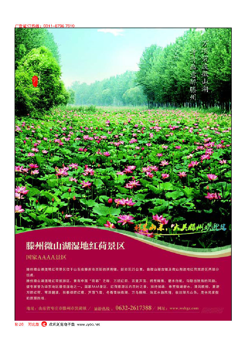 彩26 山东省滕州市微山湖湿地红荷风景区