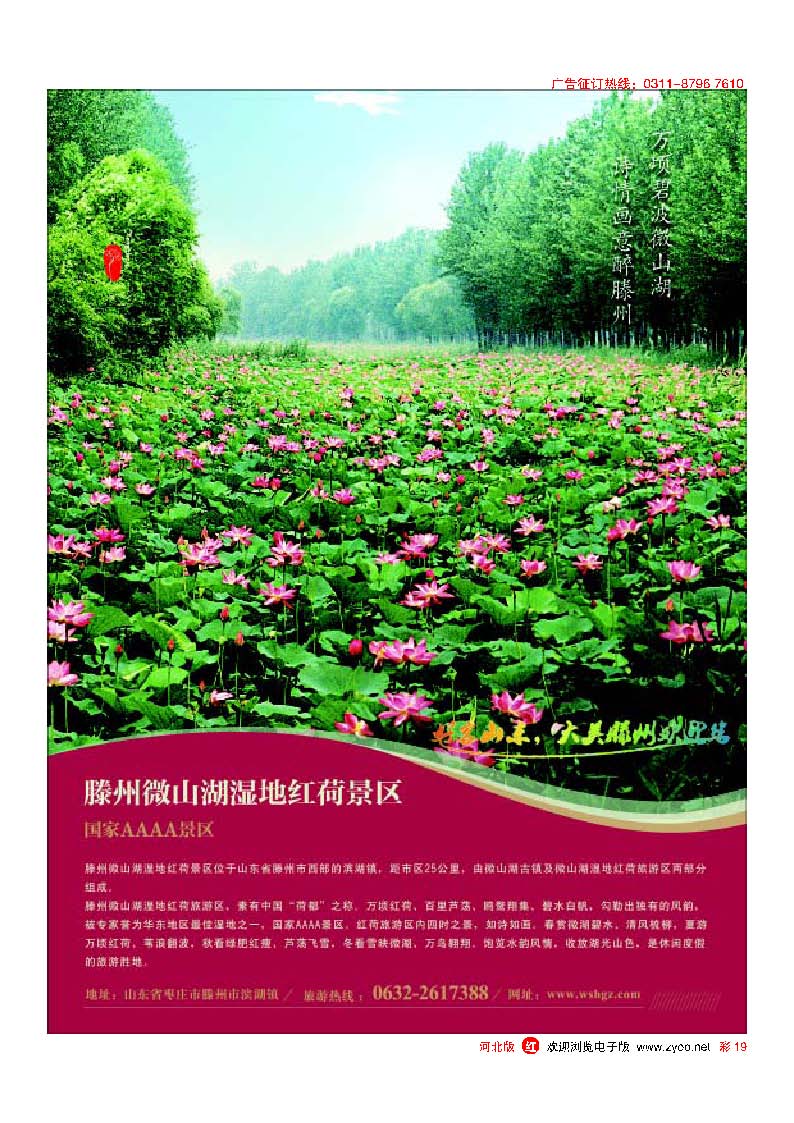 彩19 山东省滕州市微山湖湿地红荷风景区