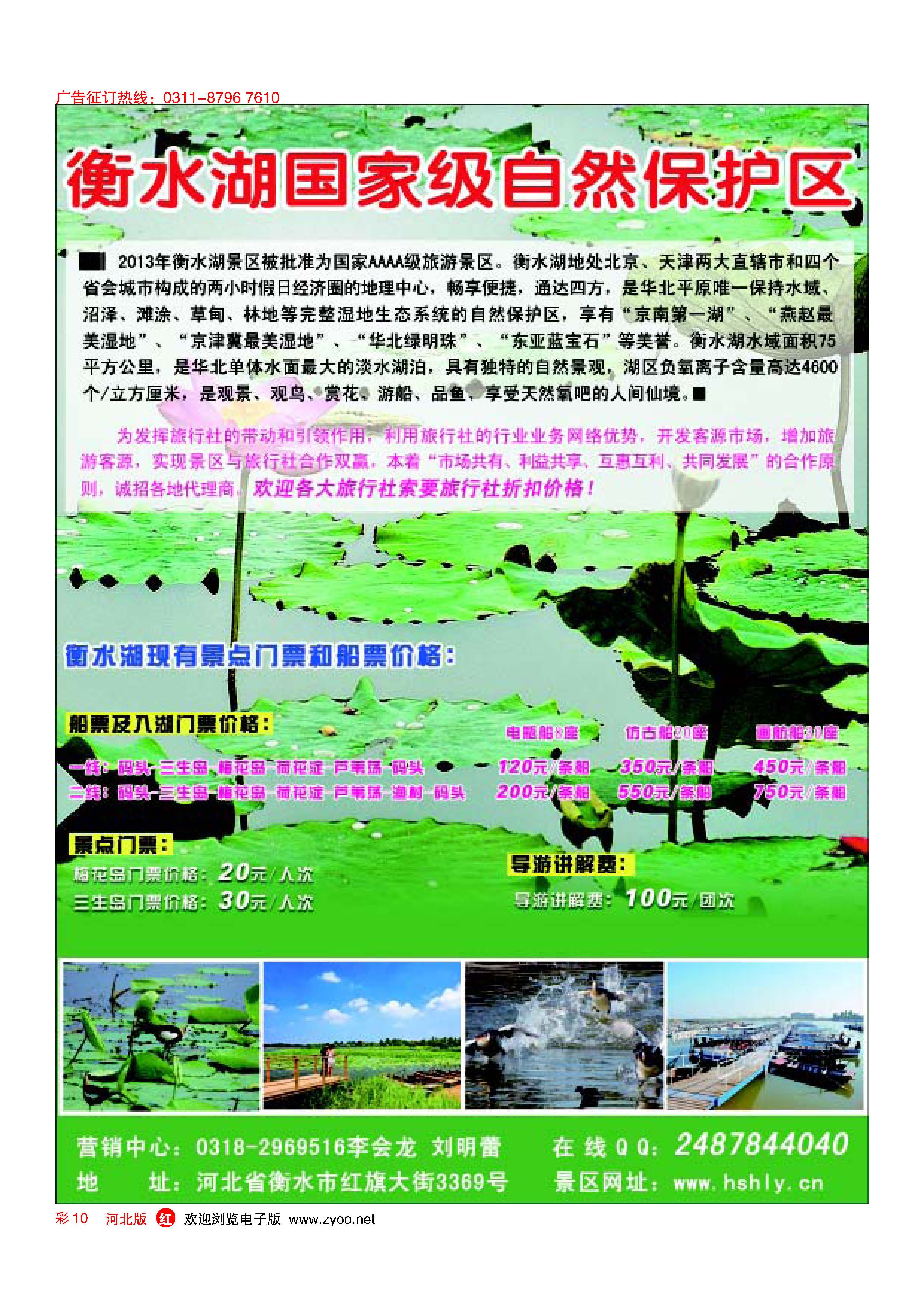 彩10 衡水湖静享自然之美