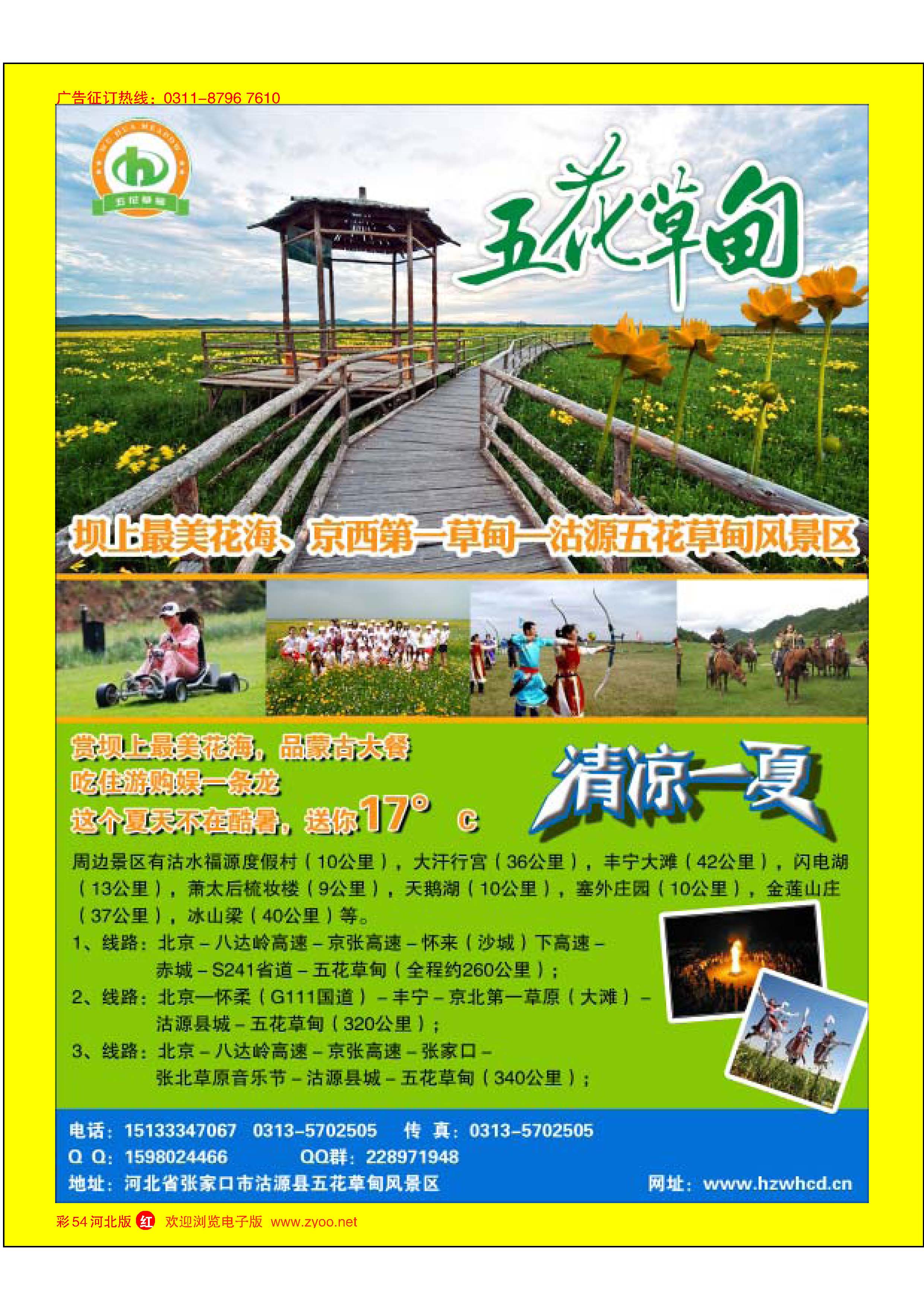 彩54 清凉草原花海·坝上五花草甸 