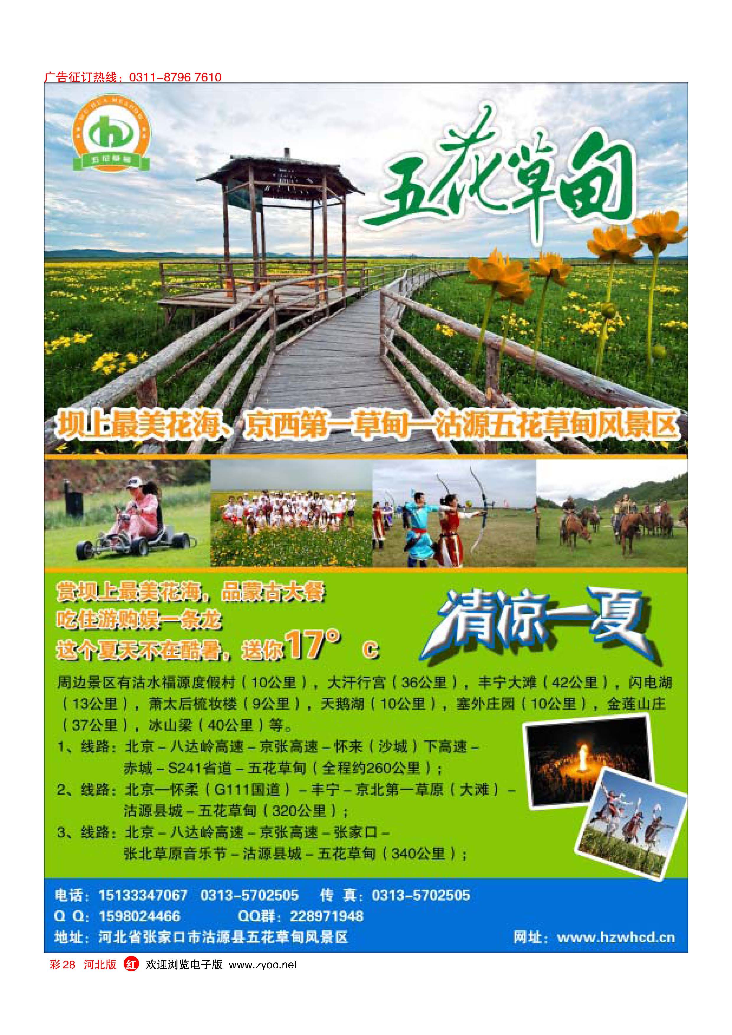 彩28 清凉草原花海·坝上五花草甸 