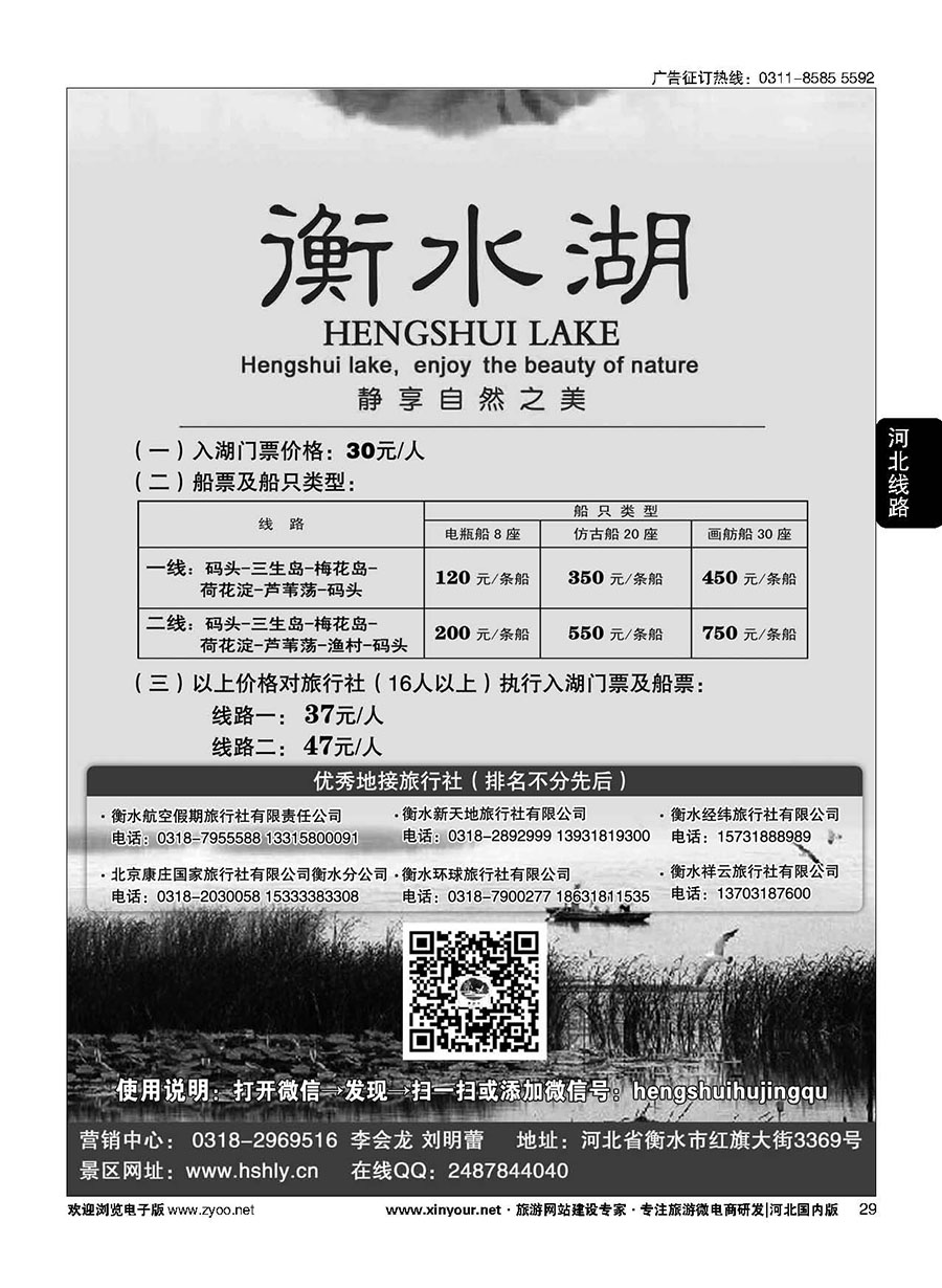 29 衡水湖静享自然之美 