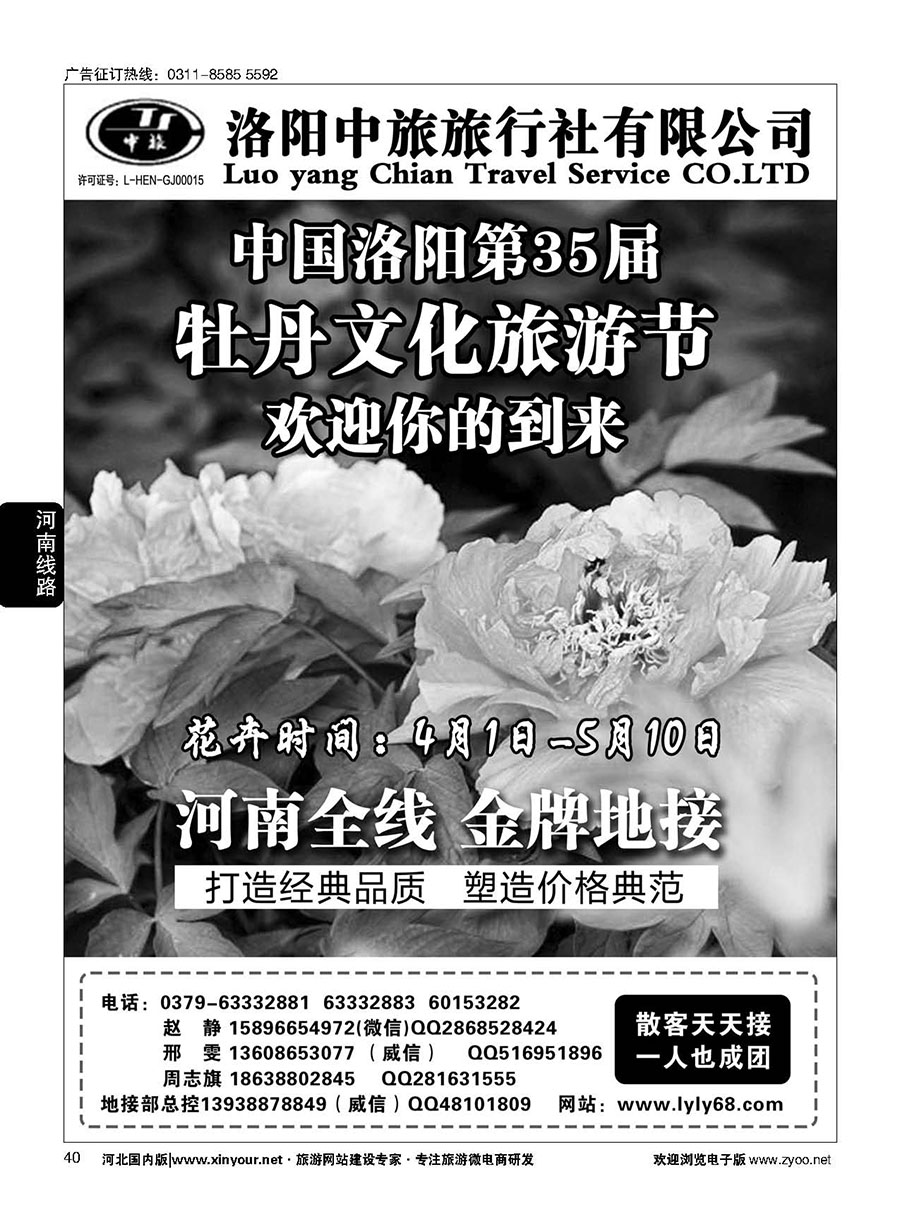 40 洛阳市中旅旅行社--河南全线地接