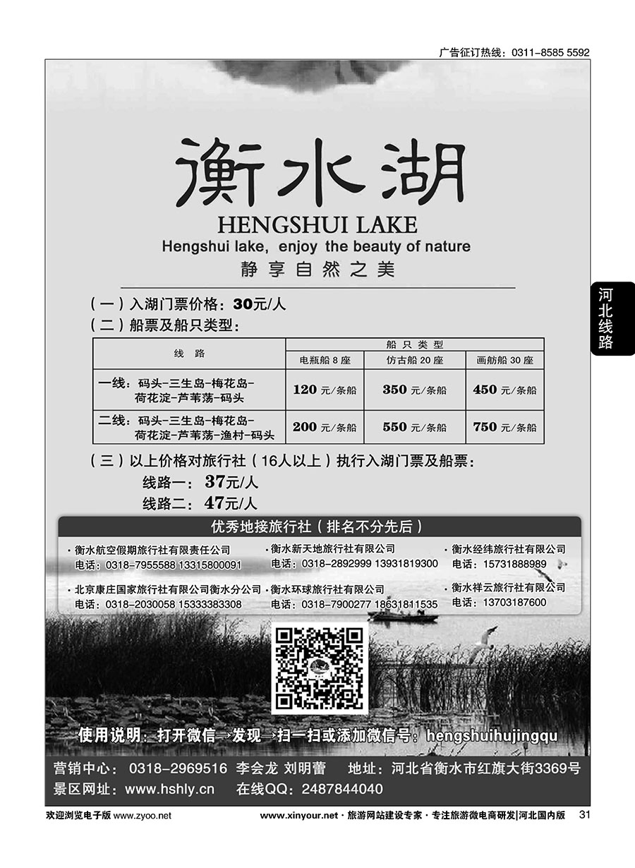 31 衡水湖静享自然之美 