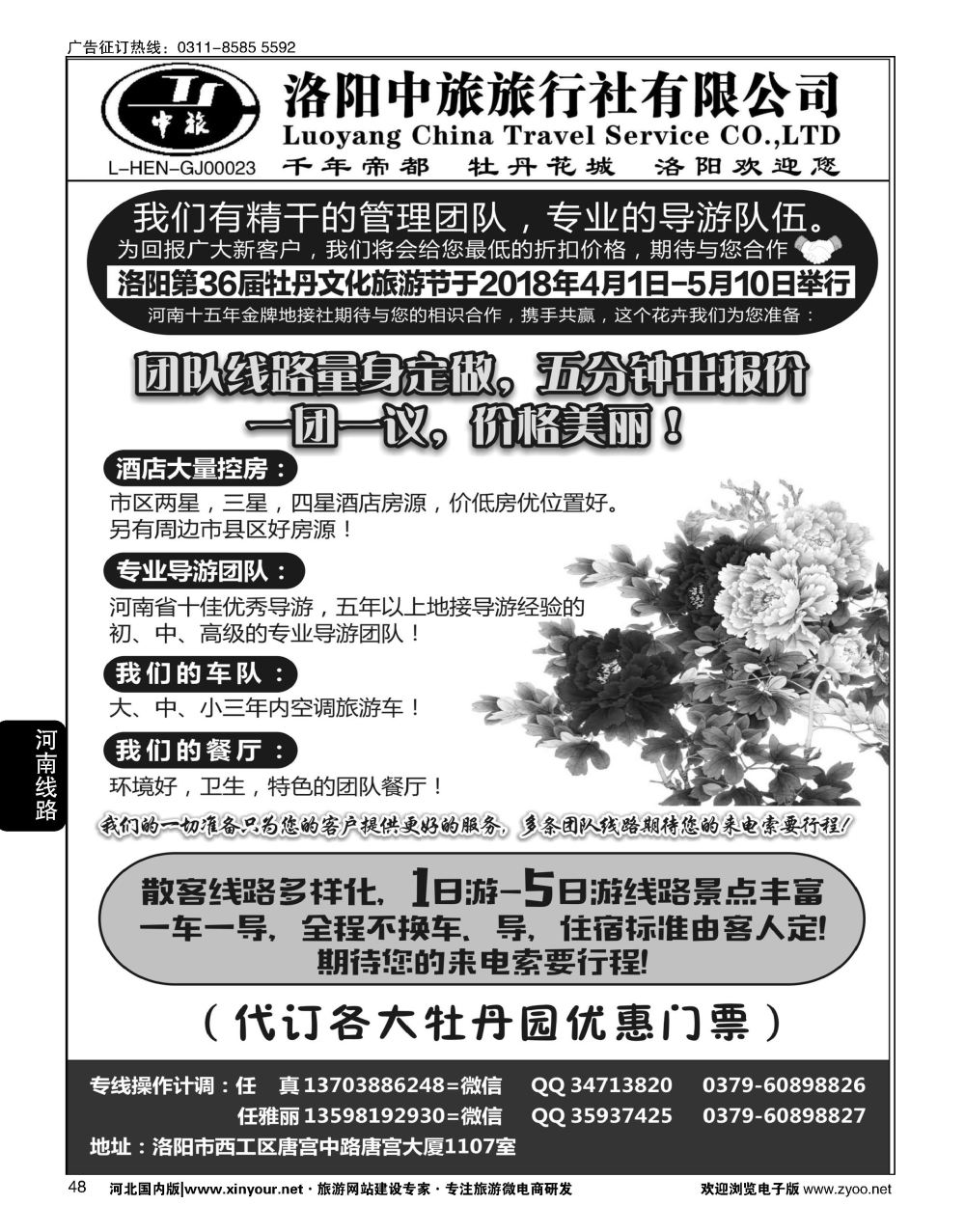 48 河南金牌地接-洛阳中旅（任真）