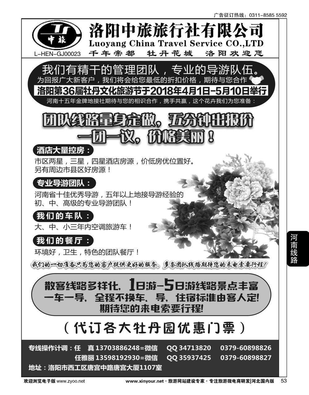 53 河南金牌地接-洛阳中旅（任真）