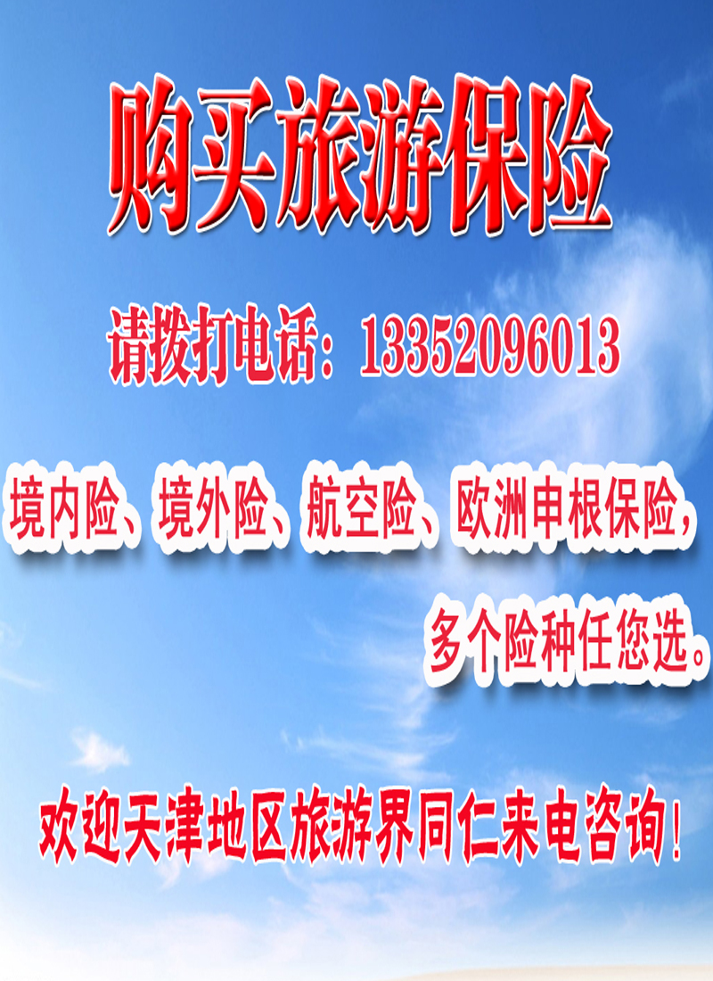 大地保险