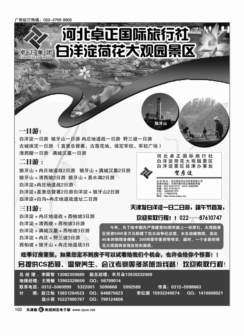 白洋淀专业地接