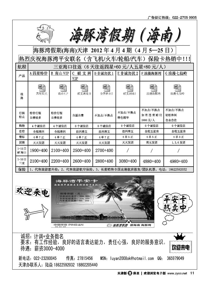 海豚湾假期