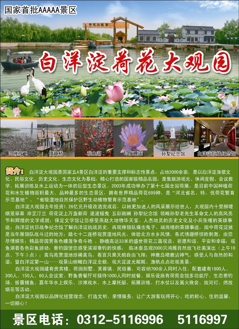 白洋淀王牌景区荷花大观园