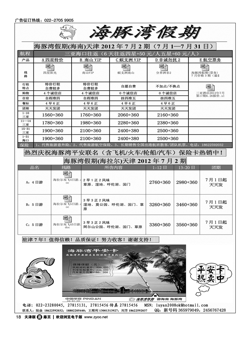 海豚湾假期