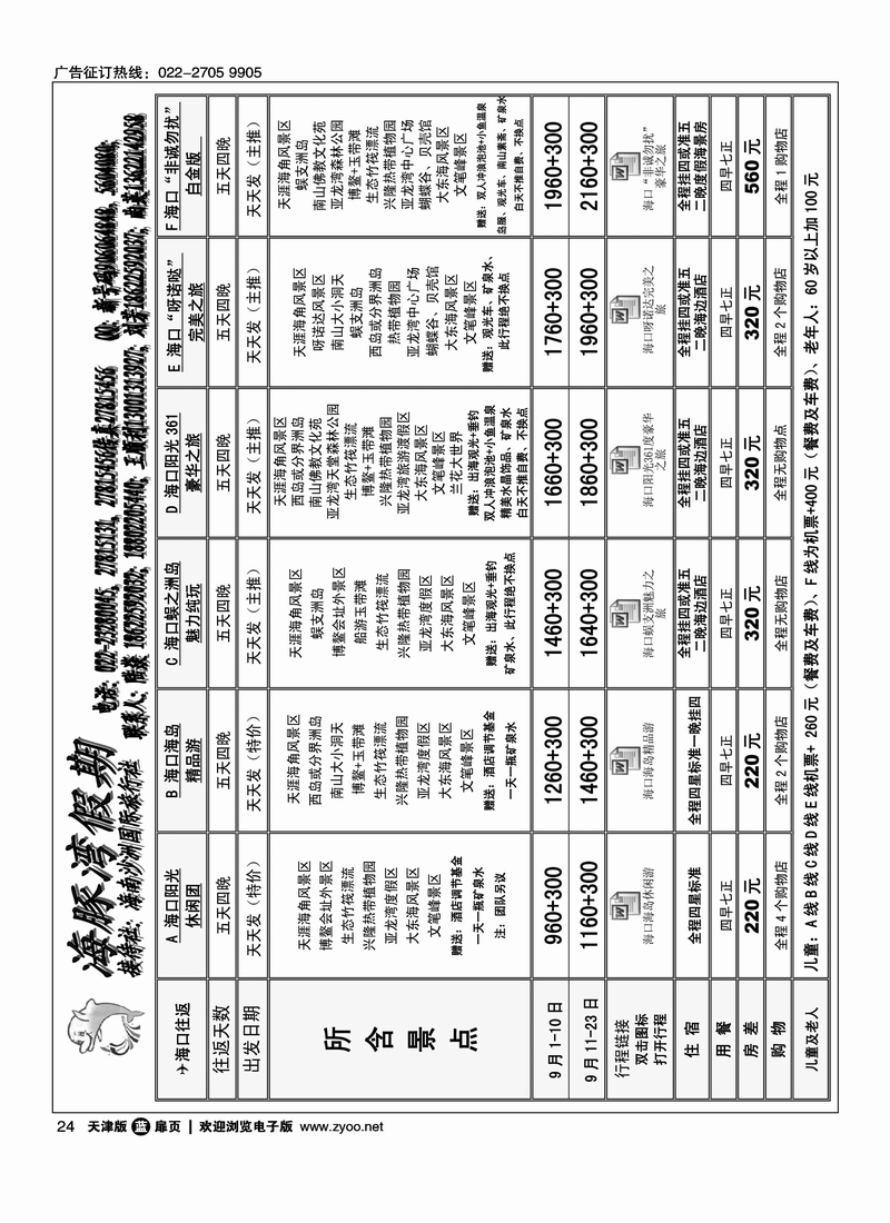 海豚湾假期1