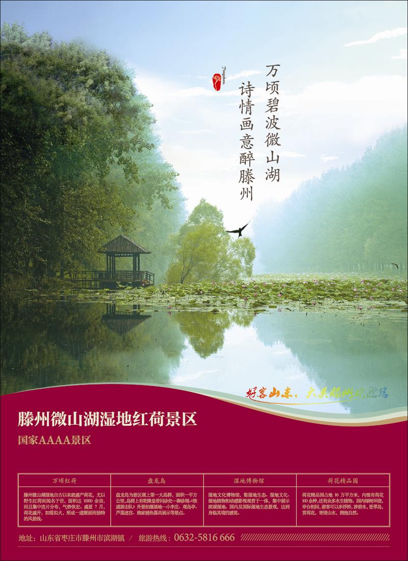 山东省滕州市微山湖湿地红荷风景区彩