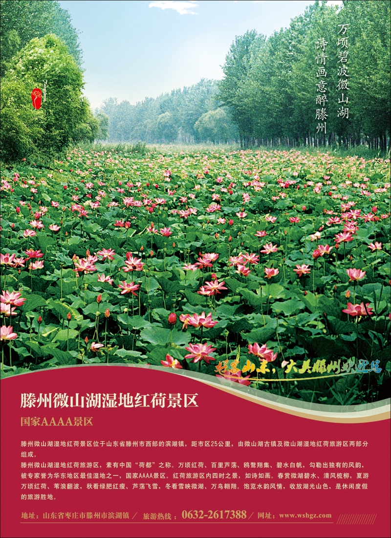 彩3山东省滕州市微山湖湿地红荷风景区