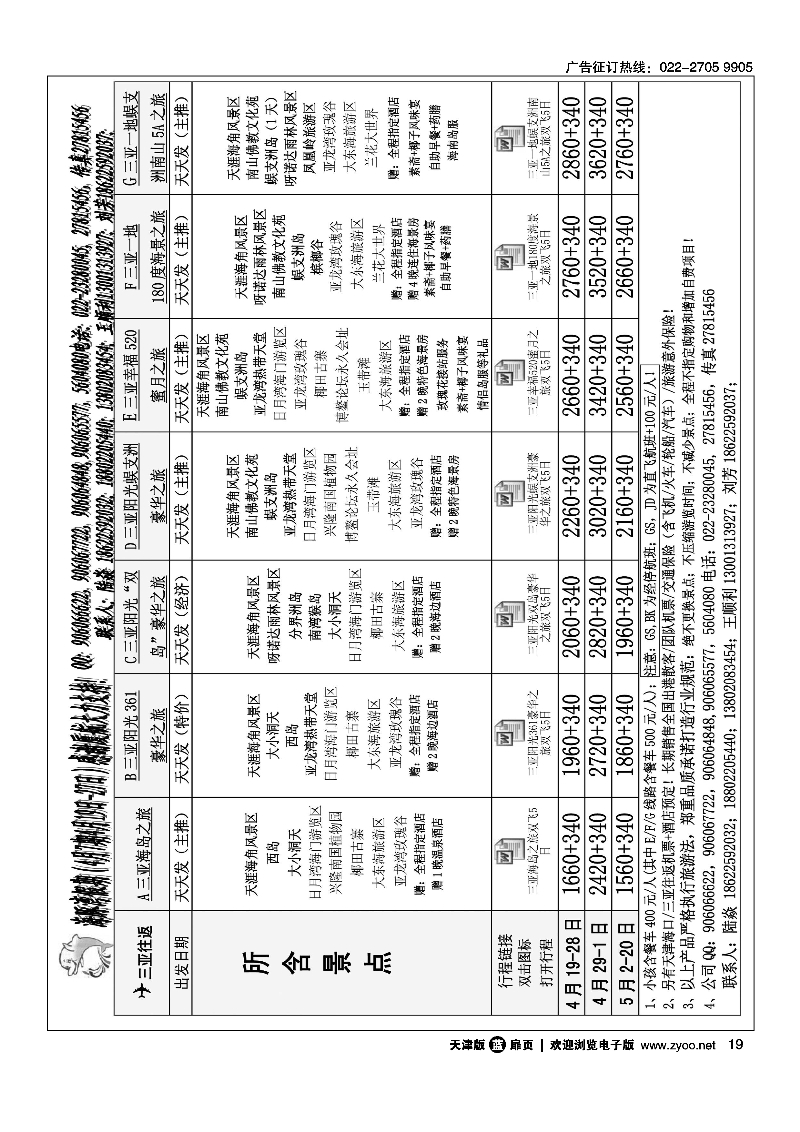 海豚湾假期 19