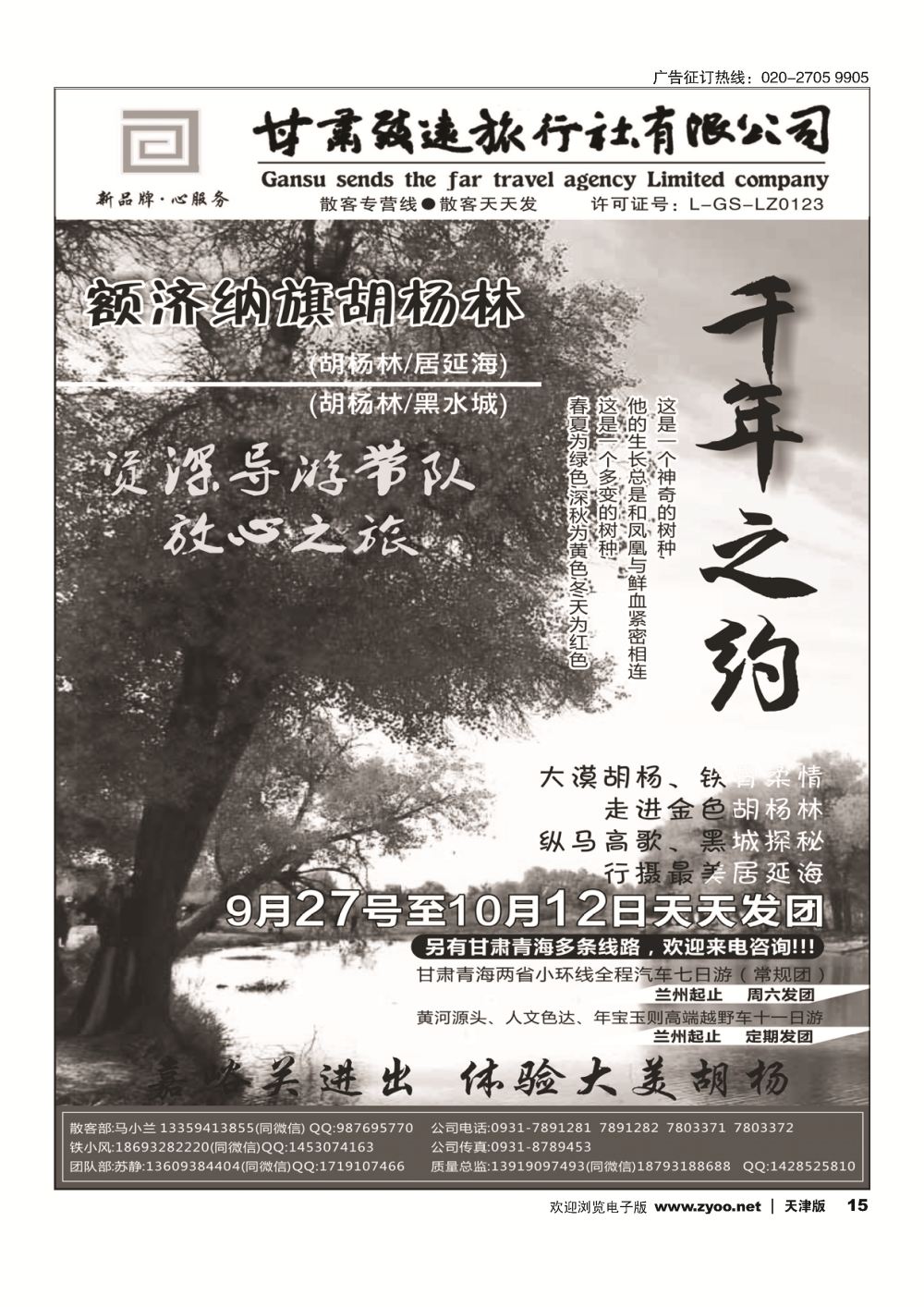 胡杨林专线—甘肃致远旅行社15
