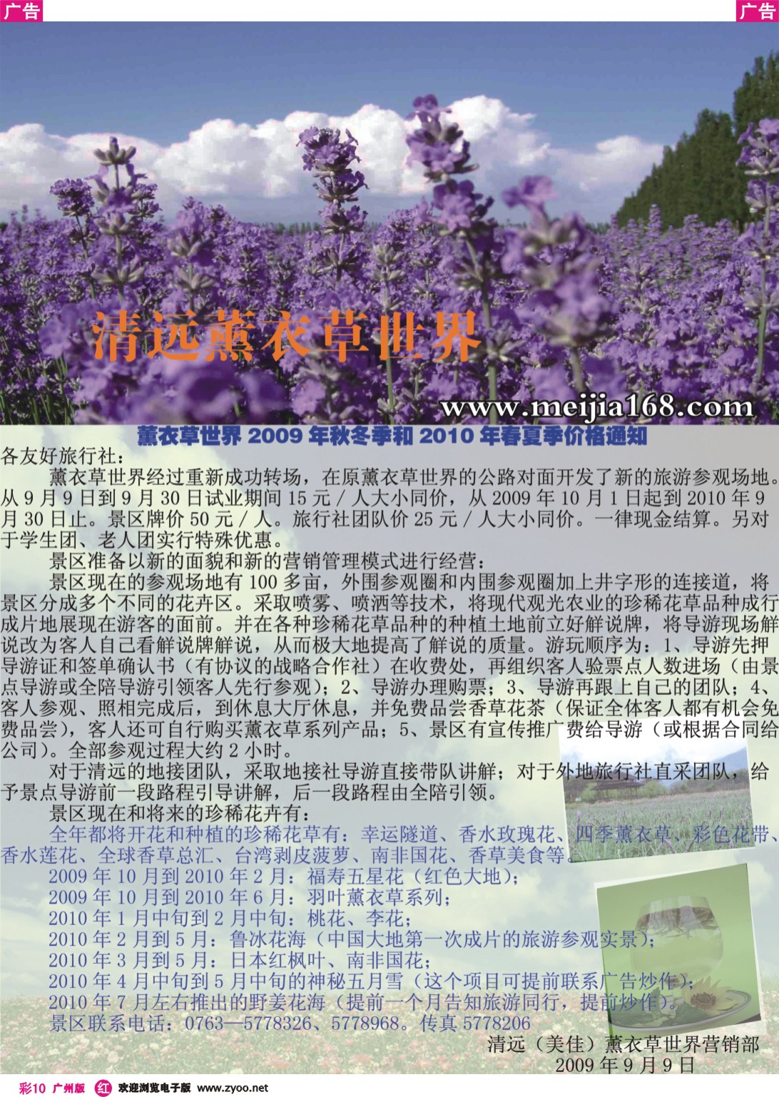彩r010 清远薰衣草世界1