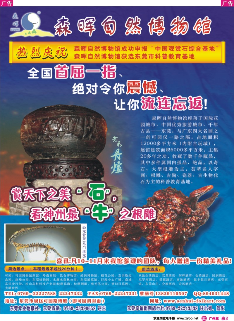 彩r003 东莞新亮点：森晖自然博物馆