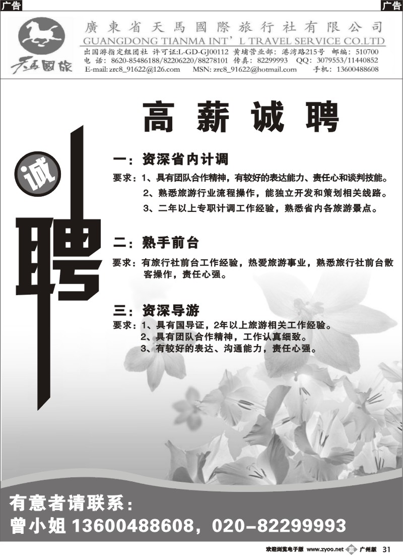 b031 广州黄埔港湾部天马国旅——招聘