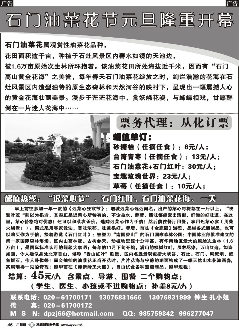 b046 从化订票——石门油菜花节元旦隆重开幕