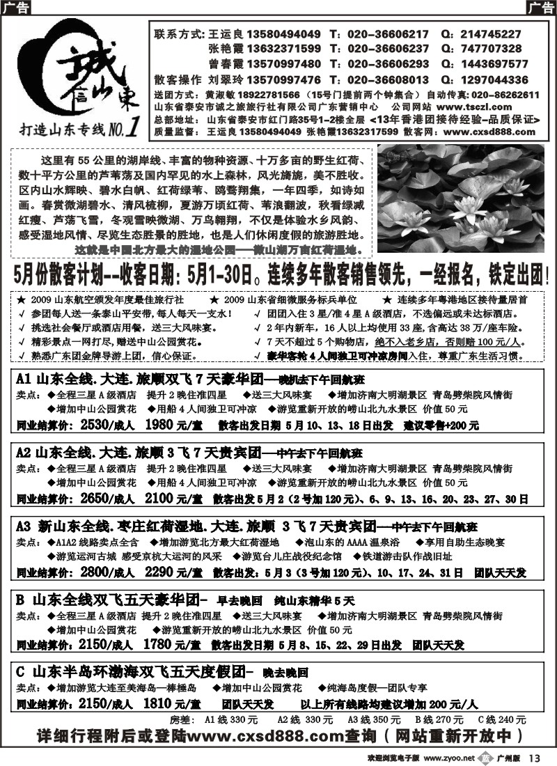 b013诚信山东