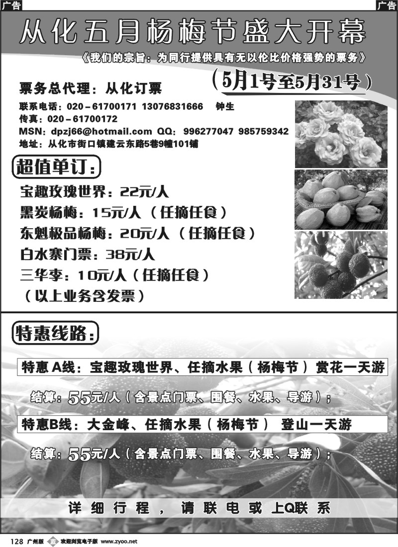 b128 从化订票——五月杨梅节盛大开幕