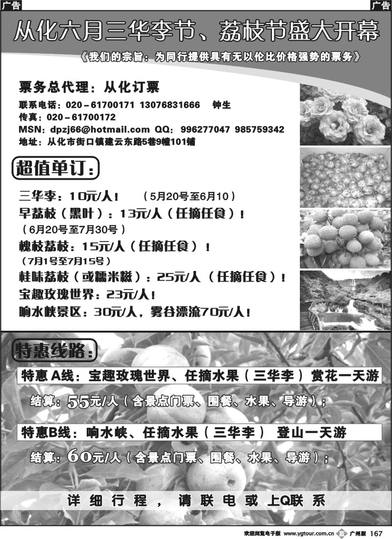 b167 从化订票——三华李节
