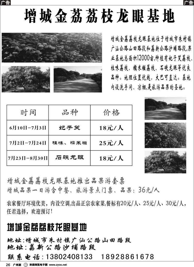 r026 增城市荔枝龙眼基地